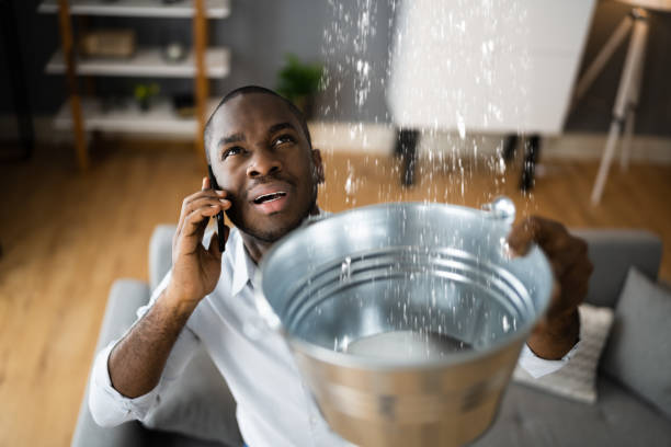 Best Ceiling water damage repair  in Indnola, IA