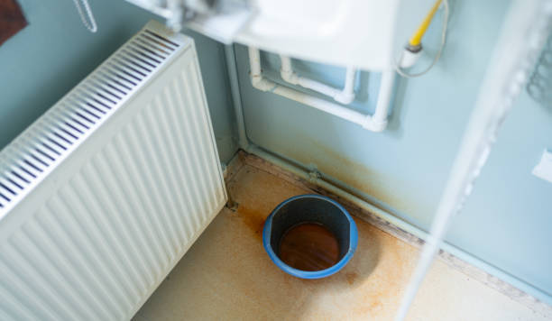 Best Carpet water damage restoration  in Indnola, IA